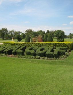 Hình ảnh độc đáo của sân golf Hoàng Gia Ninh Bình 