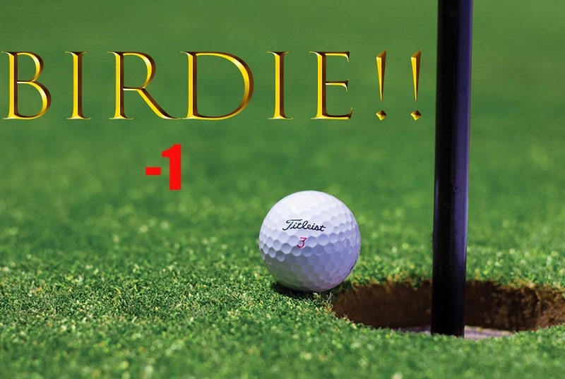 Điểm birdie là điểm số khi golfer đánh được âm 1 gậy