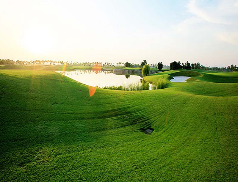 Sân golf sử dụng loại cỏ chất lượng quốc tế