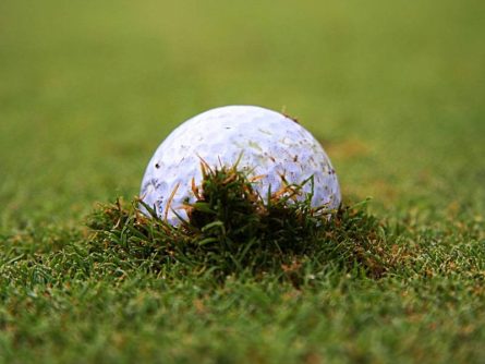 Luật Golf Bóng Lún Chuẩn Nhất Được Chia Sẻ Từ HLV Top Đầu