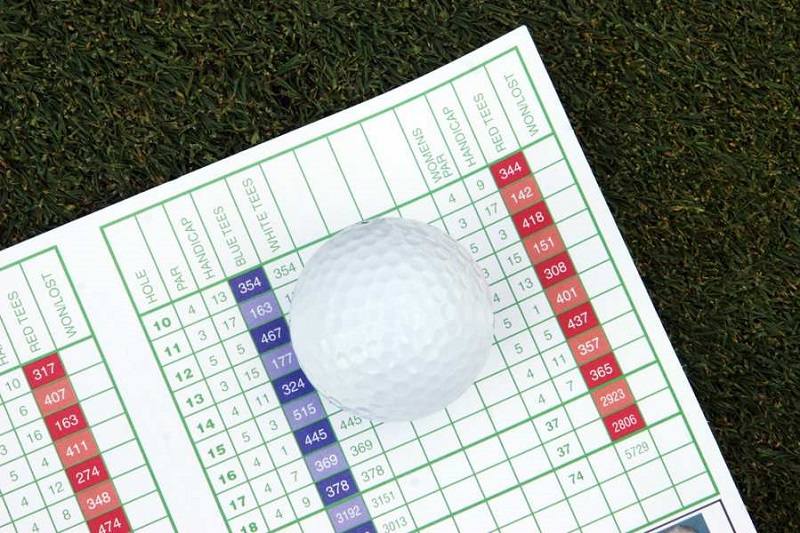 Single trong golf dùng để chỉ trình độ của người chơi