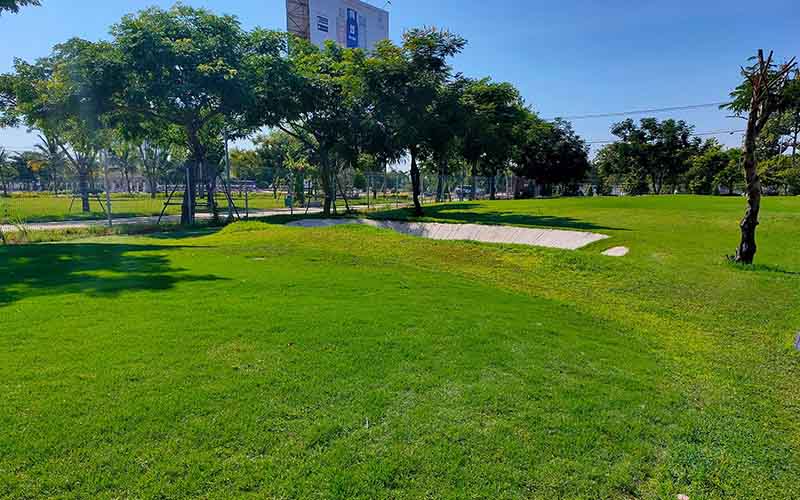 Sân Xuân Thủy Đà Nẵng thu hút rất nhiều golfer đến trải nghiệm
