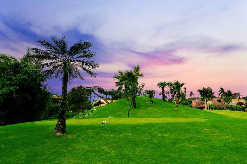 Sân golf Asean Resort sở hữu hàng loạt ưu điểm nổi bật