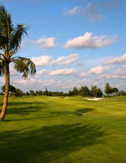 Sân golf Ruby Tree cũng là một trong những địa chỉ học đánh golf ở Hải Phòng nổi tiếng