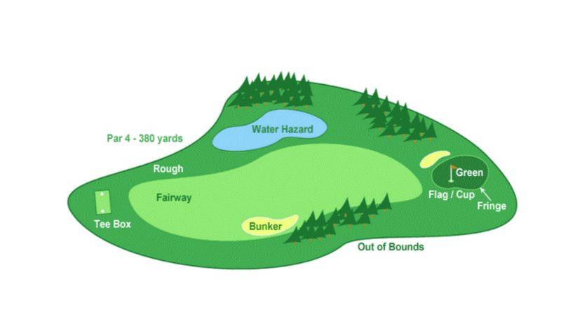 Thành phần cơ bản của sân golf